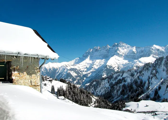 Alpage Tatil Evi Les Crosets